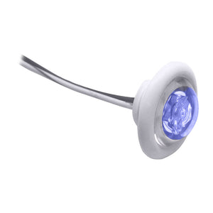 Innovative Lighting LED Bulkhead/Livewell Light "The Shortie" Blue LED w/ White Grommet [011-2540-7] - Point Supplies Inc.