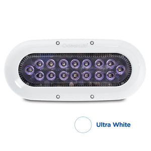 OceanLED X-Series X16 - White LEDs [012308W] - Point Supplies Inc.