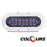 Ocean LED X-Series X16 - Colours LEDs [012311C] - Point Supplies Inc.