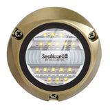 Lumitec SeaBlazeX2 LED Underwater Light - Dual Color - White/Blue [101516] - Point Supplies Inc.